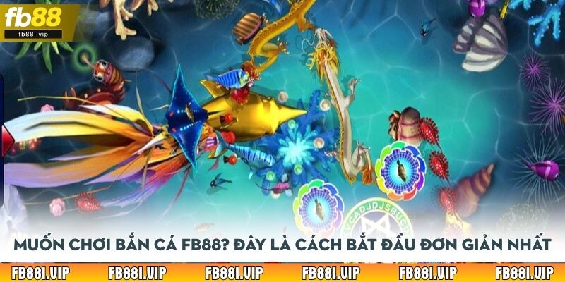 Muốn chơi bắn cá FB88? Đây là cách bắt đầu đơn giản nhất